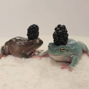 Meet your Posher, Clara